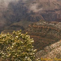 Gran Canyon 7 Gran Canyon