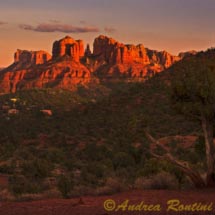 Sedona_DSC9038 Sedona_DSC9038