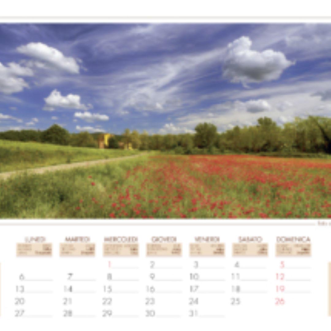 cal. new. 2019 per web-7 cal. new. 2019 per web-7