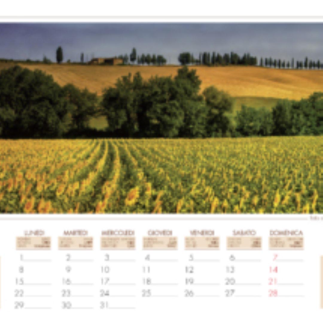 cal. new. 2019 per web-9 cal. new. 2019 per web-9