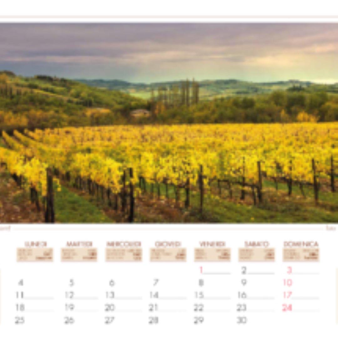 cal. new. 2019 per web ok-13 cal. new. 2019 per web ok-13