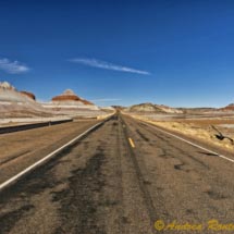 Foresta Pietrificata_DSC5984 Foresta Pietrificata_DSC5984