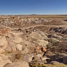 Foresta Pietrificata_DSC5990 Foresta Pietrificata_DSC5990