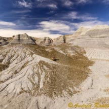 Foresta Pietrificata_DSC6023 Foresta Pietrificata_DSC6023