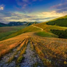 DSCF6933 bis DSCF6933 bis