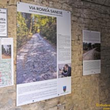 1 -DSCF7345 1 -DSCF7345