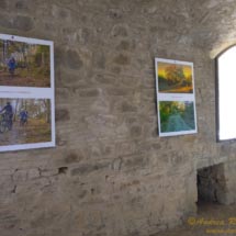 11 - DSCF7352 11 - DSCF7352