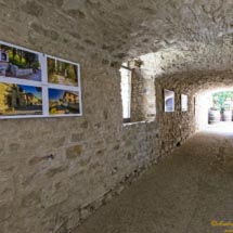 11 a -DSCF7353 11 a -DSCF7353