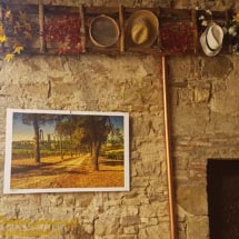 13 - 20180916_110752 13 - 20180916_110752