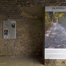 15 -DSCF7357 15 -DSCF7357