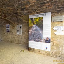 16 -DSCF7355 16 -DSCF7355