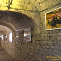 3 -DSCF7348 3 -DSCF7348