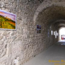 6 - DSCF7342 6 - DSCF7342