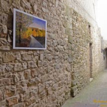 8 - DSCF7340 8 - DSCF7340