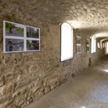 9 - DSCF7351 9 - DSCF7351