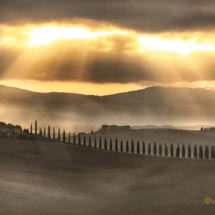 _DSC3113 bis _DSC3113 bis