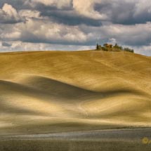 _DSC3214 tris _DSC3214 tris