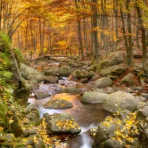 10 -_DSC3379 bis 10 -_DSC3379 bis