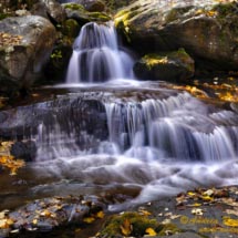 11 -_DSC3412 11 -_DSC3412