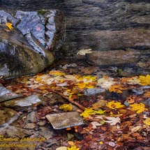 13 -_DSC3426 bis 13 -_DSC3426 bis