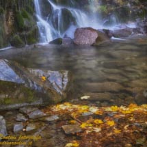 14 -_DSC3431 b is 14 -_DSC3431 b is