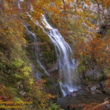 15 -_DSC3447 15 -_DSC3447