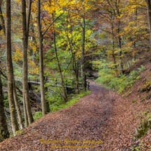 5 -DSC3343 5 -DSC3343