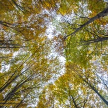 6 -DSC3345 6 -DSC3345