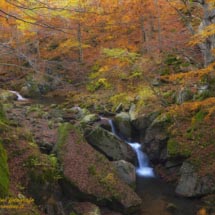 8 -DSC3353 8 -DSC3353