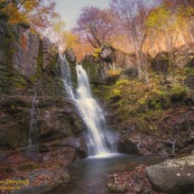 9 -_DSC3362 9 -_DSC3362