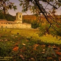 Abbazia di Coltibuono_DSC3929 Abbazia di Coltibuono_DSC3929