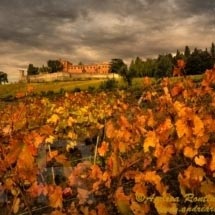 Castello di Brolio_DSC3963 bis Castello di Brolio_DSC3963 bis