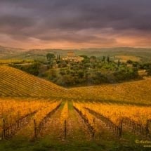 Le Piazze_DSC3888 bis Le Piazze_DSC3888 bis